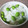 ＊coron＊'s cooksnap of when they made 簡単に出来る!!旬の枝豆ご飯.