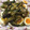 SRO1214's cooksnap of when they made 夏野菜半熟卵の肉巻きオイスターソース絡め.