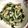 はんぶんこ☆'s cooksnap of when they made モロヘイヤのマヨ醤油炒め.