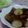 YUNKUN's cooksnap of when they made じゃがいもの豚肉巻き.