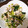 せんひこ's cooksnap of when they made 簡単・早い！小松菜と豆腐の炒め煮.
