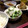 ayandy0410's cooksnap of when they made ●梨とレタスとセロリのサラダ●.