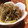 たかみん☆'s cooksnap of when they made 牛肉と玉ねぎとしらたきの煮物(牛丼).