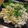 ＴＷＯＨＥＡＲＴＳ's cooksnap of when they made 鮭マヨチャーハン☆.