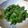 K/S's cooksnap of when they made 青菜＆ごま酢しょうゆ☆.