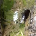 ma___111's cooksnap of when they made 大量消費☆きのことレタスのひともみ浅漬け.
