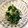 ☆akettu☆'s cooksnap of when they made 簡単☆激旨！レタスのさっぱりお浸し.