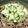 azbjbn's cooksnap of when they made 冷たいオクラおろしそば.