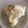 momoka0225's cooksnap of when they made 簡単！おいしい！さつまいも蒸しパン.