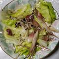 usamimi♡'s cooksnap of when they made レタスとミョウガのふりかけサラダ.