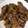 りんごぉぉぉ's cooksnap of when they made 簡単！！牛肉と玉ねぎの時雨煮.