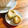 ペン（・Θ・）ギン's cooksnap of when they made スイート栗きんとん.