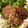 クックFUX58H☆'s cooksnap of when they made 豚ひき肉のふわふわ豆腐ハンバーグ.