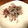 クックCO421C☆'s cooksnap of when they made お手軽 しらすとみょうが和え.