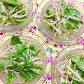 ふたごゆき's cooksnap of when they made もやしと水菜＊辛子醤油和え.