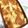 パワフルめぐめぐ's cooksnap of when they made しっとり＊とろける【桃のベイクドケーキ】.