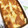 パワフルめぐめぐ's cooksnap of when they made しっとり＊とろける【桃のベイクドケーキ】.