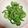 ぽぽきゅ's cooksnap of when they made ゴーヤの苦み抜き法.