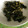 hitorin3's cooksnap of when they made ヘルシーです☆わかめと舞茸のカレー炒め.