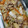 クック0KFDPJ☆'s cooksnap of when they made 白菜と豚肉のとろ～り細切り炒め☆.