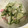 ngta05's cooksnap of when they made 簡単！きゅうりとかまぼこのマヨポン酢和え.