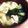 kaokaofood's cooksnap of when they made わかめの美味しい味噌汁.