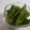 クック2FCURP☆'s cooksnap of when they made 簡単！おいしい！唐辛子の甘辛炒め.