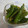 クック2FCURP☆'s cooksnap of when they made 簡単！おいしい！唐辛子の甘辛炒め.