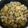 緋乃迦's cooksnap of when they made 剥き栗で超簡単 栗ご飯.