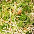 ＊あんこときなこ＊'s cooksnap of when they made 水菜ともやしと小エビのりサラダ.