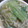 ぱにぱる's cooksnap of when they made えのきと青梗菜のシンプル炒め.