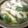 低カロ探検隊's cooksnap of when they made 簡単！ホットする☆鱈と大根の煮物.