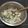 ☆★☆mint☆★☆'s cooksnap of when they made ちくわときゅうりのサラダ仕立て.