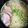sweetroll6's cooksnap of when they made ラーメン用の叉焼（煮豚）♪.