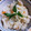 aco822's cooksnap of when they made 帆立缶で炊き込みごはん♪.