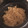 クック6VVMGA☆'s cooksnap of when they made とっても簡単♪　帆立の炊き込みご飯.