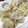 yummy?'s cooksnap of when they made 餃子の皮で♪もっちり簡単シュウマイ☆.