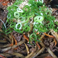 大阪のちゃーちゃん's cooksnap of when they made 【簡単】牛ごぼうのしぐれ煮【すき焼き風】.