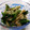 はなつぶれ's cooksnap of when they made ほうれん草と舞茸のじゃこ和え.