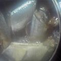 だいまさけい's cooksnap of when they made さんまの甘辛煮.