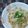 みがつくひと's cooksnap of when they made 最速の大根おろし納豆.