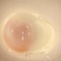 しろしろクマ's cooksnap of when they made 簡単★レンジで温泉卵！！.
