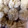 クックJC7I7K☆'s cooksnap of when they made スープ溢れる焼き小籠包＊中華街ぶたまん風.