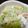 気分転換が料理。's cooksnap of when they made 【エビとレタスのガーリックマヨサラダ】♪.