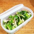 さくらスキップ's cooksnap of when they made さっっっぱり！胡瓜の浅漬け.