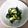 ＊coron＊'s cooksnap of when they made ☆きゅうりの塩昆布和え☆.