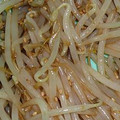 みきんこと神威's cooksnap of when they made 簡単☆もやしのナムル.