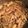 PicoTX's cooksnap of when they made 作り置きおかず2：キノコのオイスター炒め.