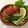 くろかよかよ's cooksnap of when they made スライスアボカド＆トマト.