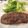 あんこ1201's cooksnap of when they made もうやめられない☆無限レタス.